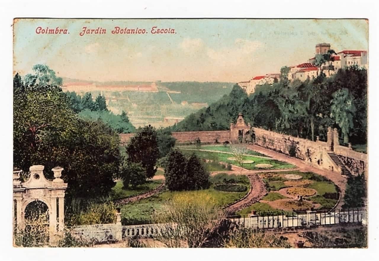 | Casa do Colecionador Cartao Postal Antigo - Portugal - Coimbra - Jardim Botanico Escola - Anos 1900