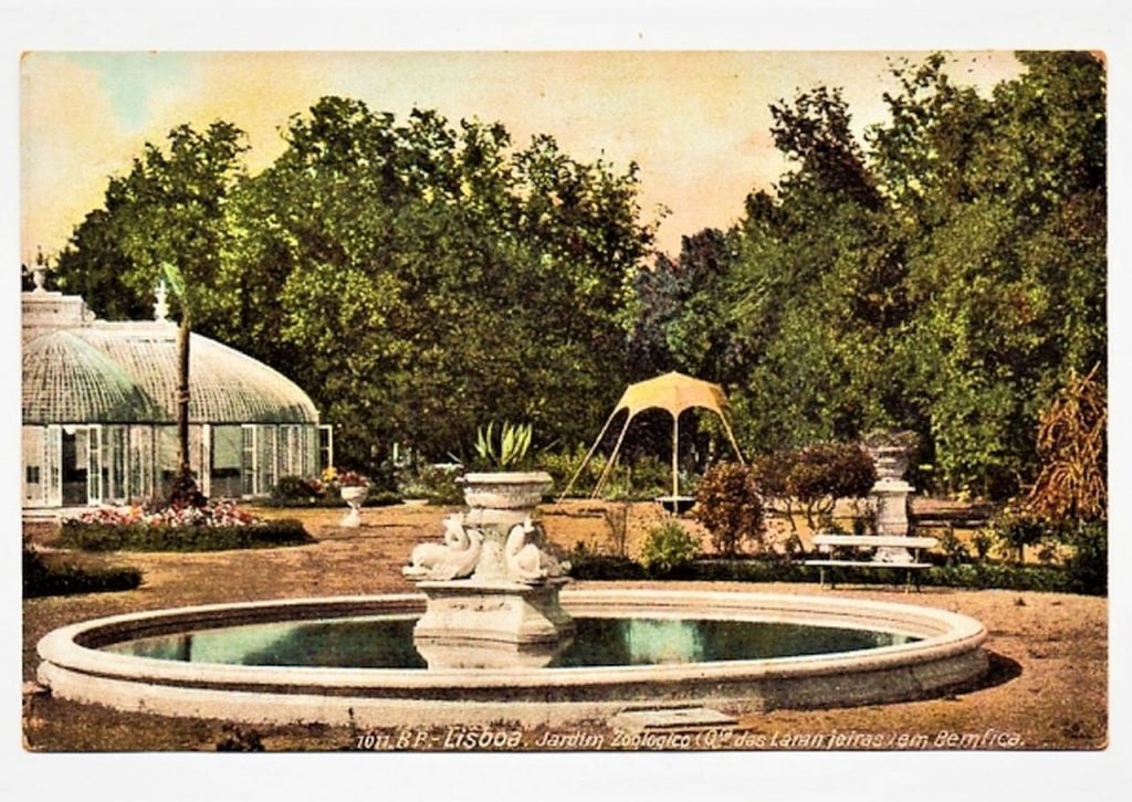 | Casa do Colecionador Cartao Postal Antigo - Portugal - Lisboa - Jardim Zoologico - Anos 1910