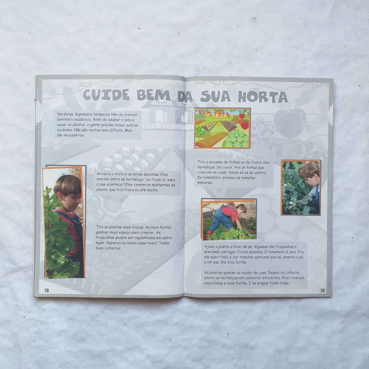 | Casa do Colecionador Álbum de Figurinhas - Horta em Figurinhas (Completo) 2011