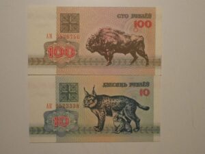 Bielo Russia) 10 / 100 Rublei - 1992 ... 2 cédulas Flor de Estampa / ce01