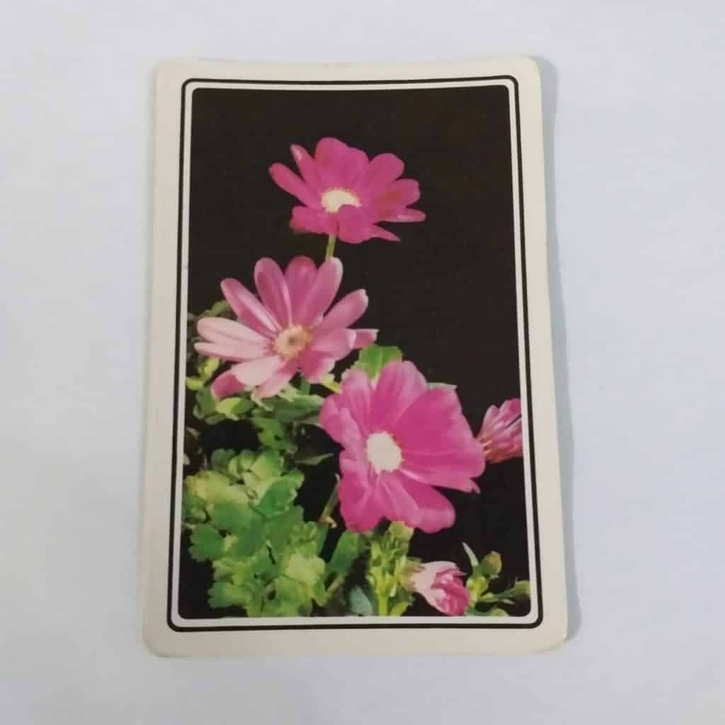 Calendário de Bolso (Tema Flores) - Ano 1987
