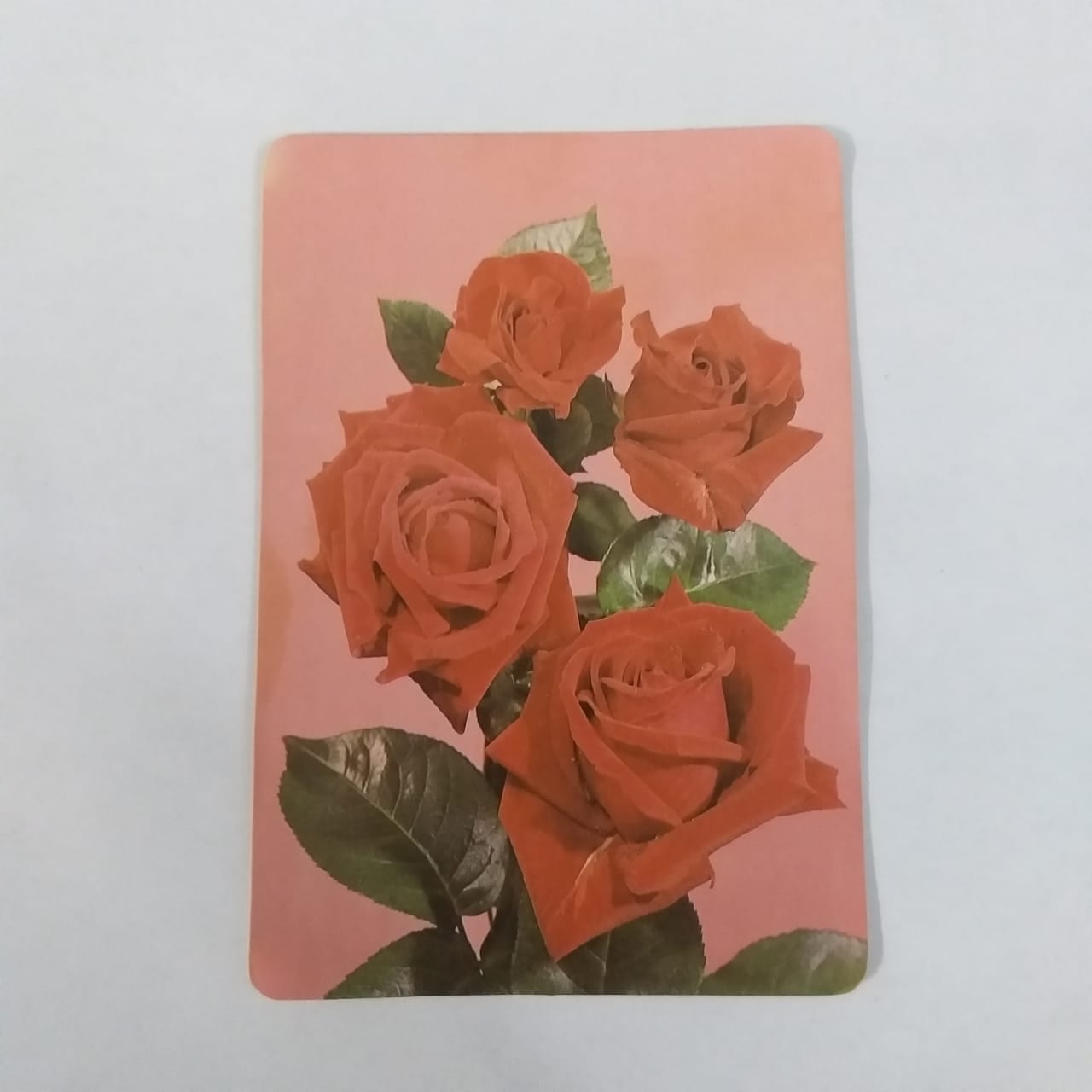 Calendário de Bolso (Tema Flores) - Ano 1987