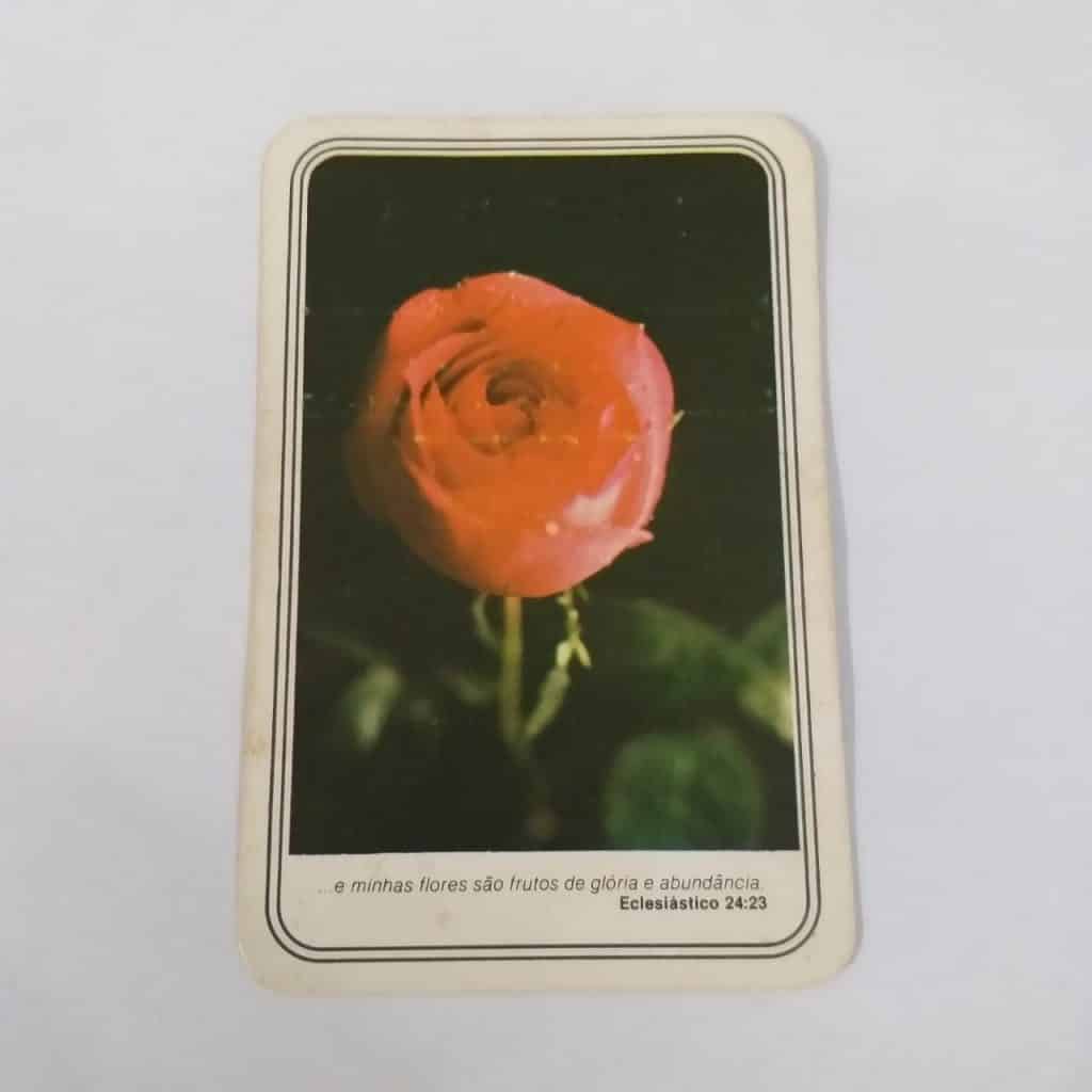 Calendário de Bolso (Tema Flores) - Ano 1987