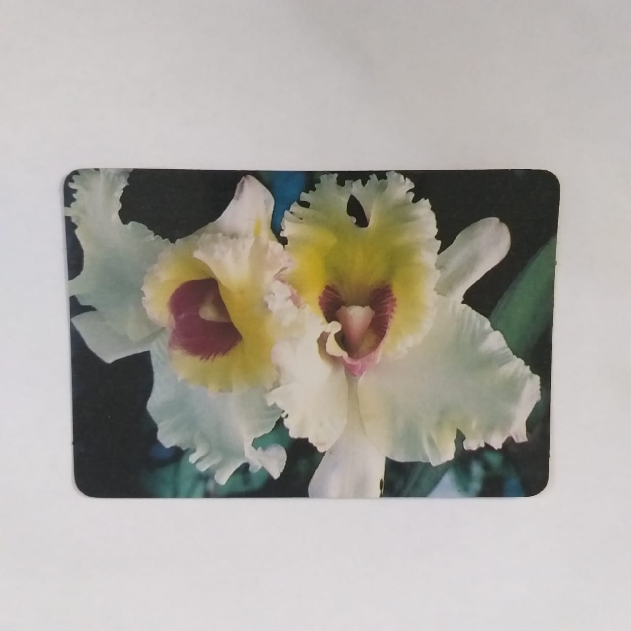 Calendário de Bolso (Tema Flores) - Ano 1989