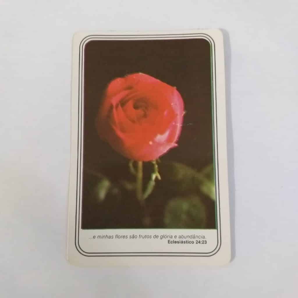 Calendário de Bolso (Tema Flores) - Ano 1989