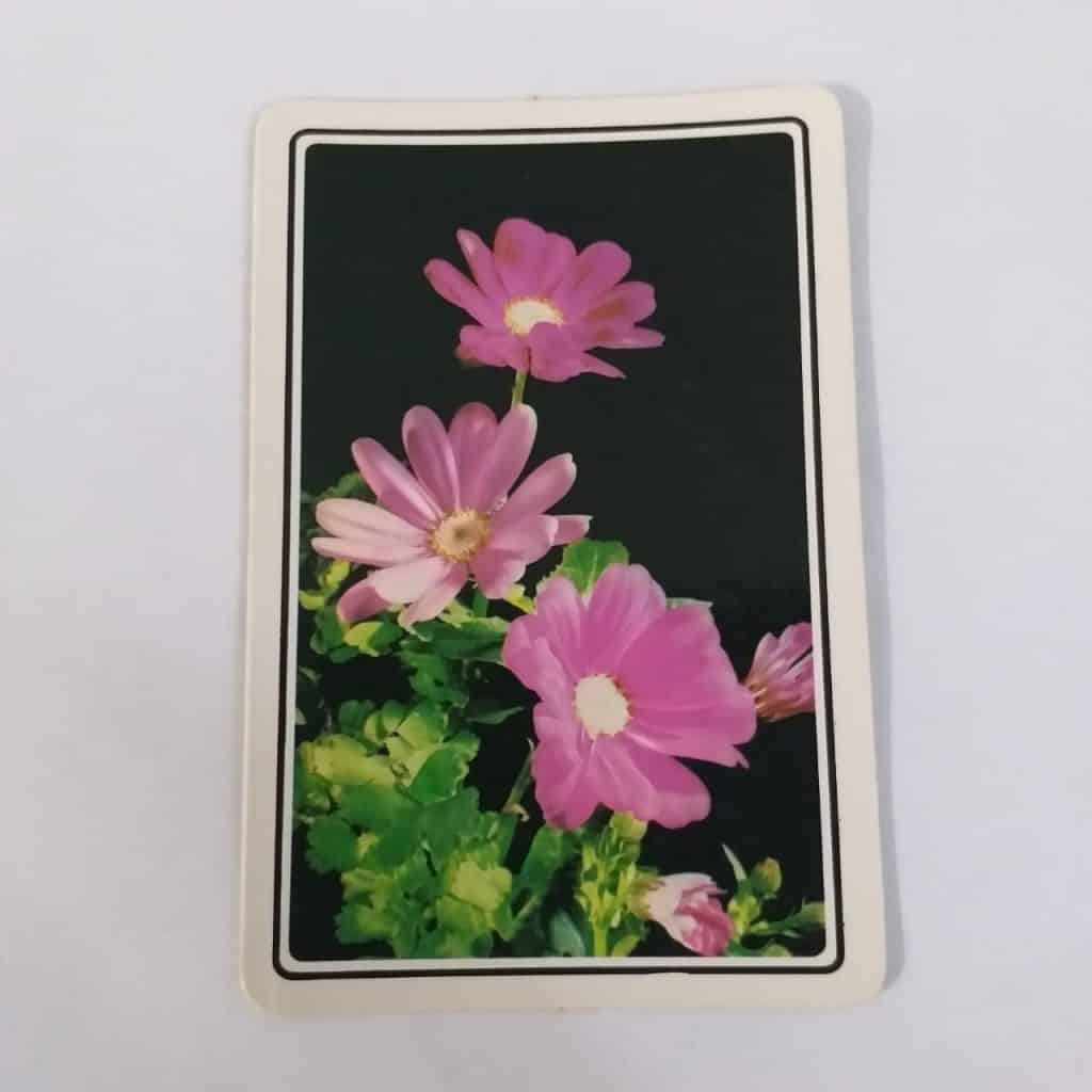 Calendário de Bolso (Tema Flores) - Ano 1992