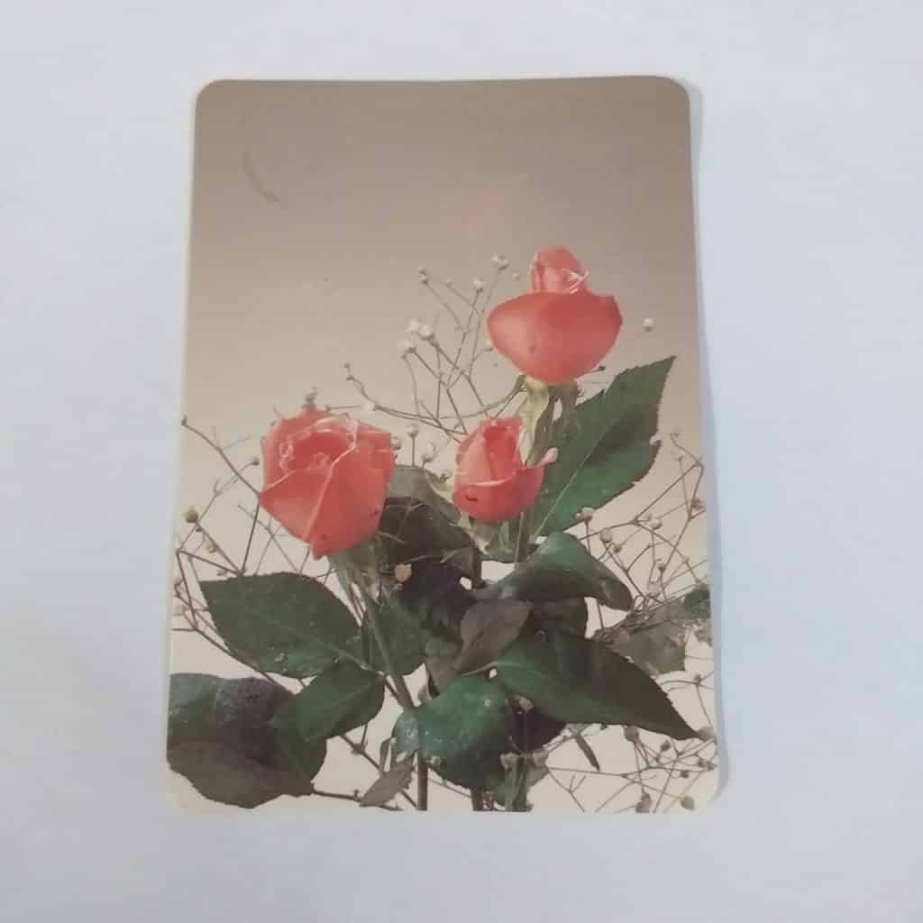 Calendário de Bolso (Tema Flores) - Ano 1993