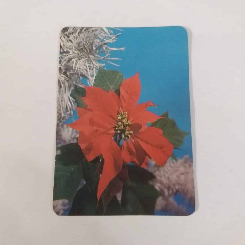 Calendário de Bolso (Tema Flores) - Ano 1993