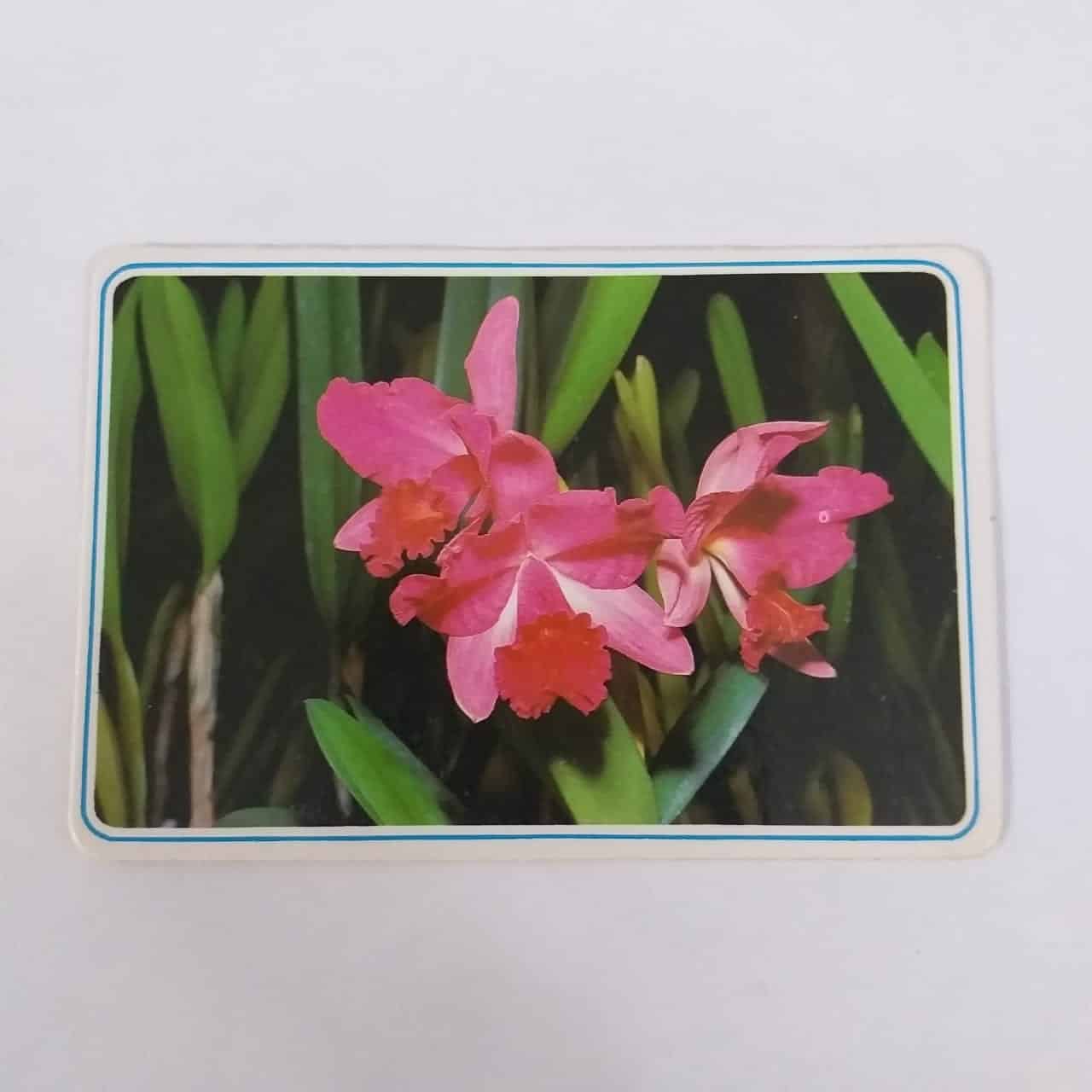 Calendário de Bolso (Tema Flores) - Ano 1996