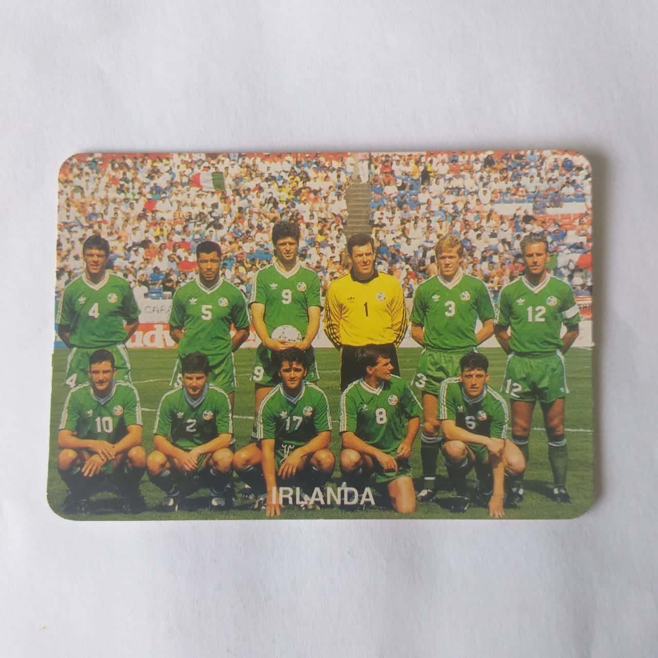 Calendário de Bolso (Tema Futebol) - Coleção de 90 Calendários da Copa do Mundo de 1994 Nº 13 - Irlanda - Ano 1994
