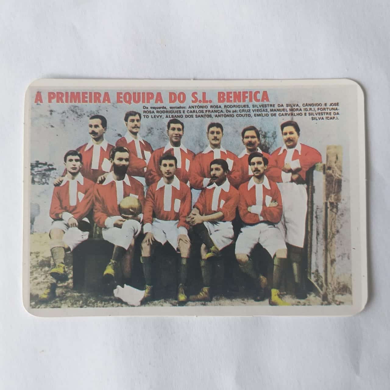 Calendário de Bolso (Tema Futebol) - Estrelas do Passado do Futebol Benfiquista - A Primeira Equipe do S.L. Benfica - Ano 1995
