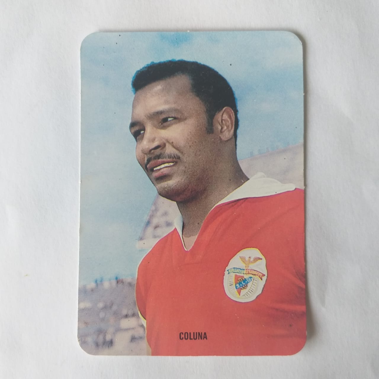 Calendário de Bolso (Tema Futebol) - Estrelas do Passado do Futebol Benfiquista - Coluna - Ano 1995