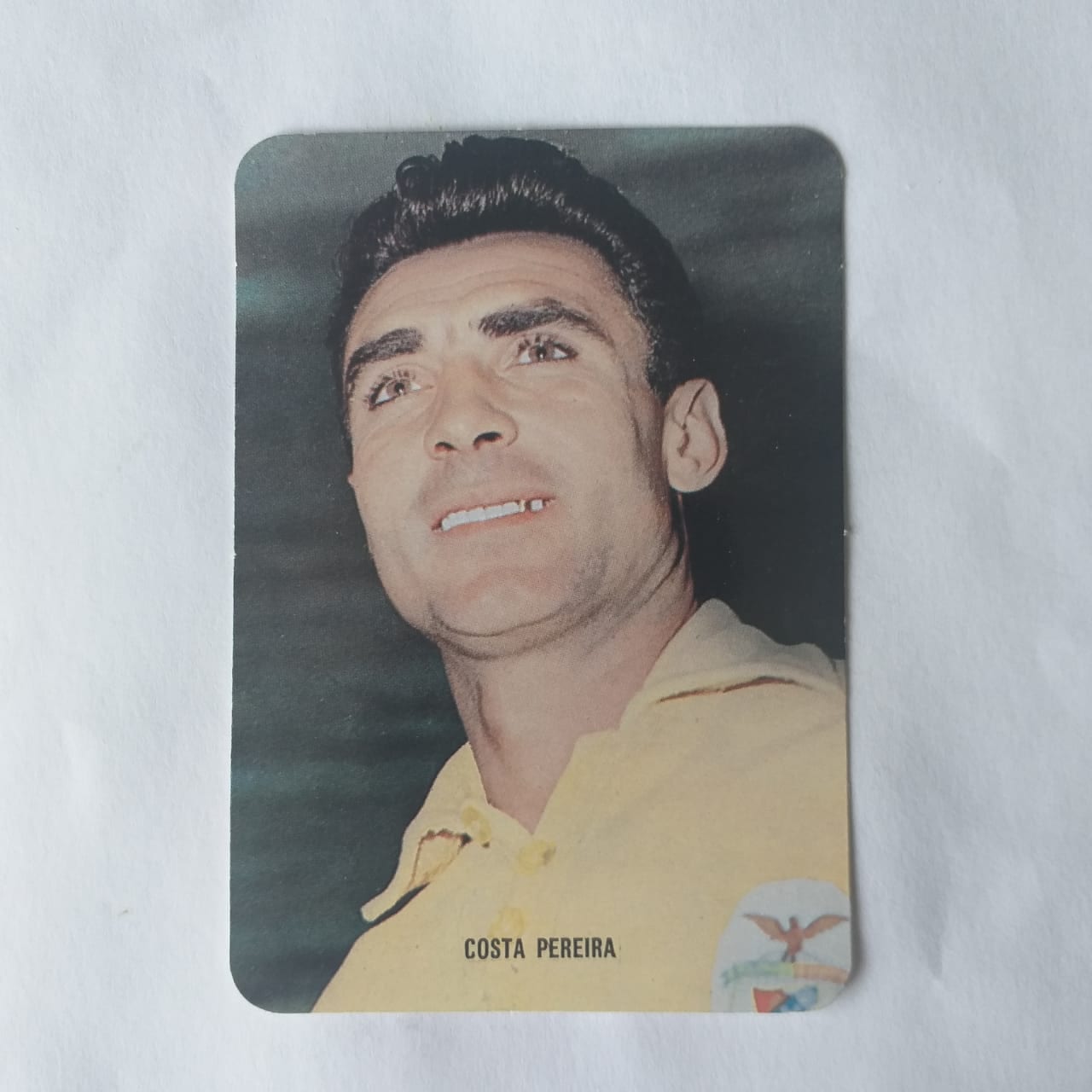 Calendário de Bolso (Tema Futebol) - Estrelas do Passado do Futebol Benfiquista - Costa Pereira - Ano 1995