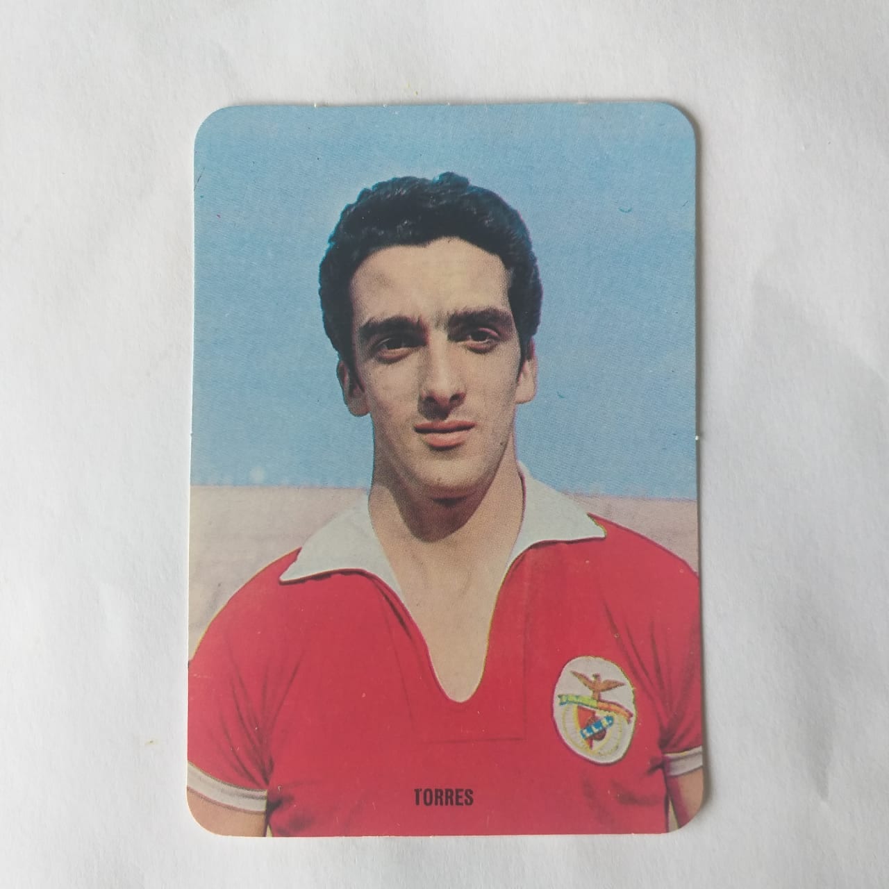Calendário de Bolso (Tema Futebol) - Estrelas do Passado do Futebol Benfiquista - Torres - Ano 1995