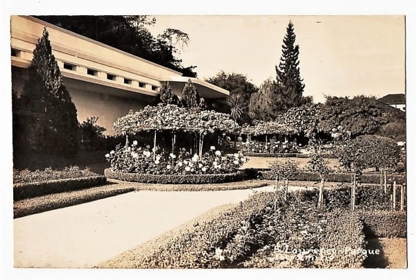 Cartão Postal Fotografico - São Lourenço - MG - Parque ( 1 ) - Anos 50