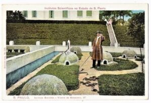 Cartao Postal Tipografico Instituto Butanta - Viveiro das Serpentes II - São Paulo - SP - Anos 40