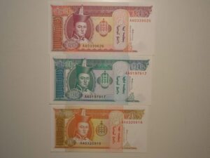 Mongolia) 5 / 10 / 20 Mongo - 1993 ... 3 Cédulas Flor de Estampa / ce01
