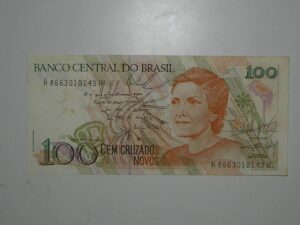 100 Cruzados Novos - C-206 / Flor de Estampa