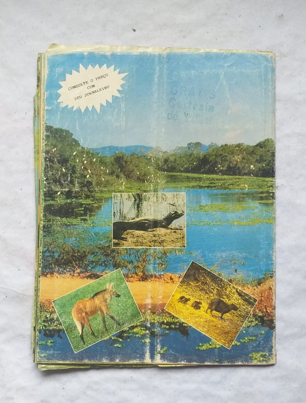 | Casa do Colecionador Álbum de Figurinhas - Pantanal (Incompleto com 81 fig coladas - SUCATA) 1990