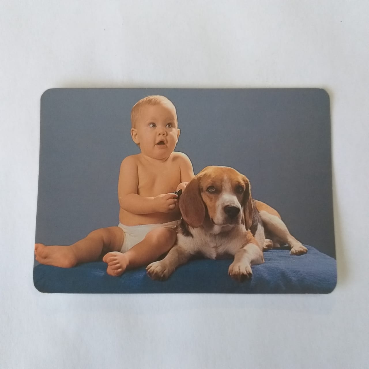 Calendário de Bolso (Tema Criança com animal) - Ano 1992