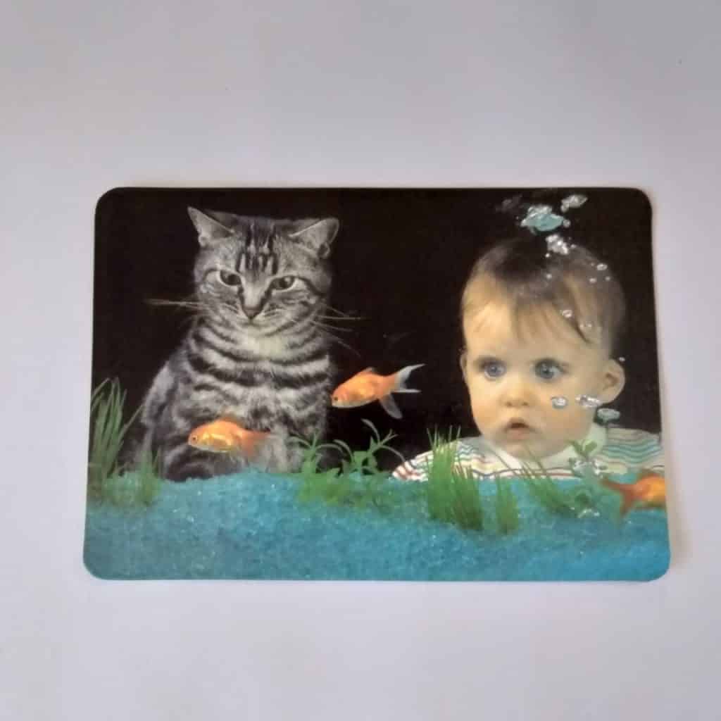 Calendário de Bolso (Tema Criança com animal) - Ano 1994