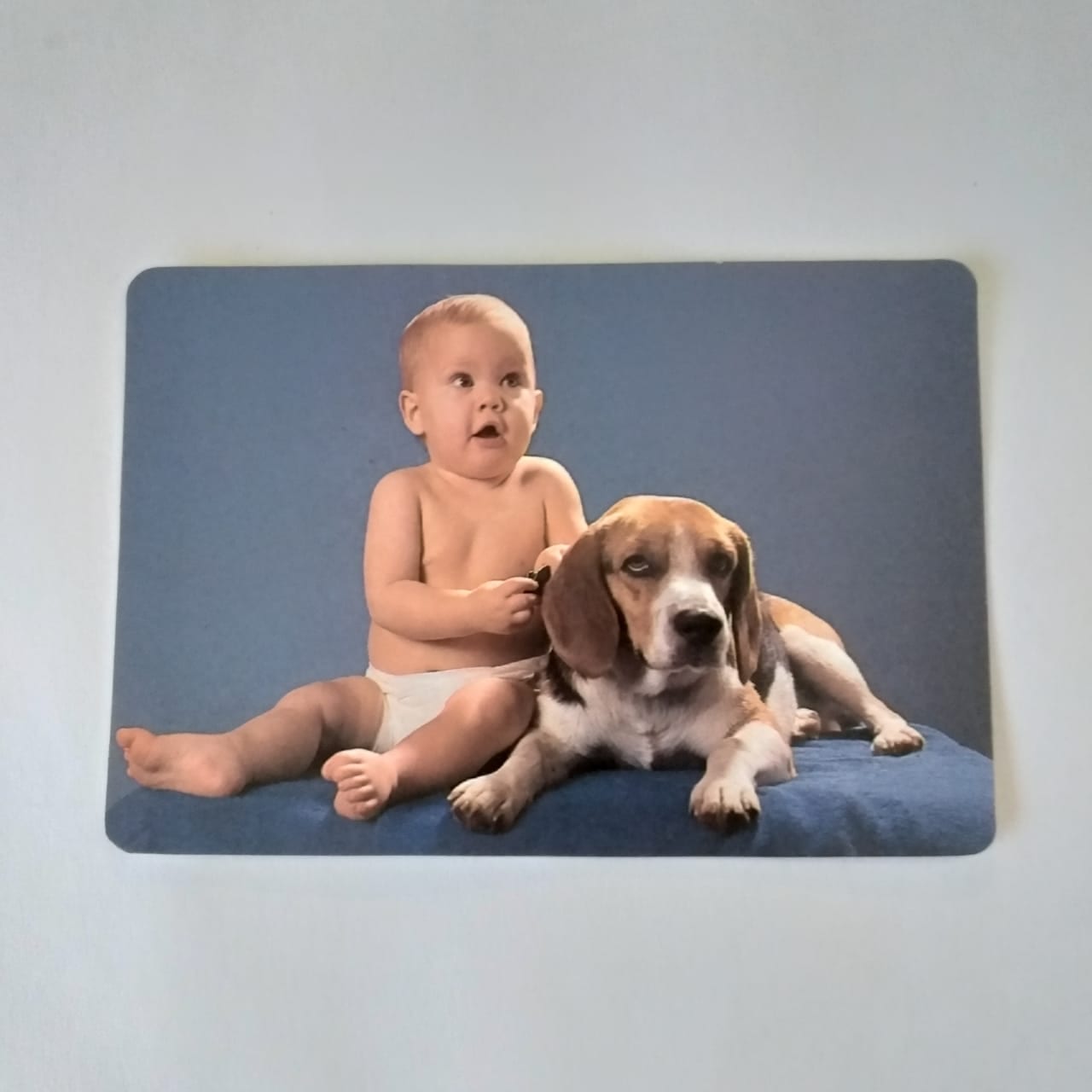 Calendário de Bolso (Tema Criança com animal) - Ano 1994