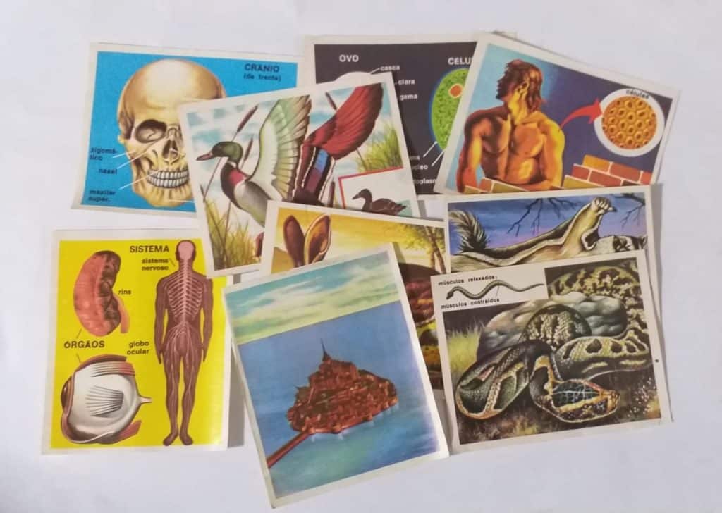 | Casa do Colecionador Figurinhas do Álbum Ciências - 1975