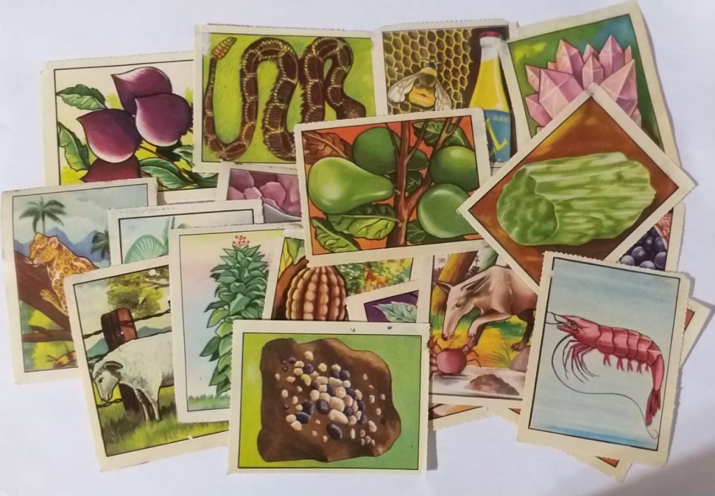 | Casa do Colecionador Figurinhas do Álbum Riquezas Brasileiras - Editora Aquarela - 1961