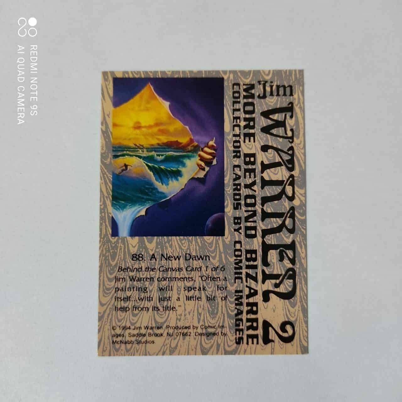 | Casa do Colecionador 25ma. Cartão da coleção Topps NFL 1992 532. Chris Spielman Lions.