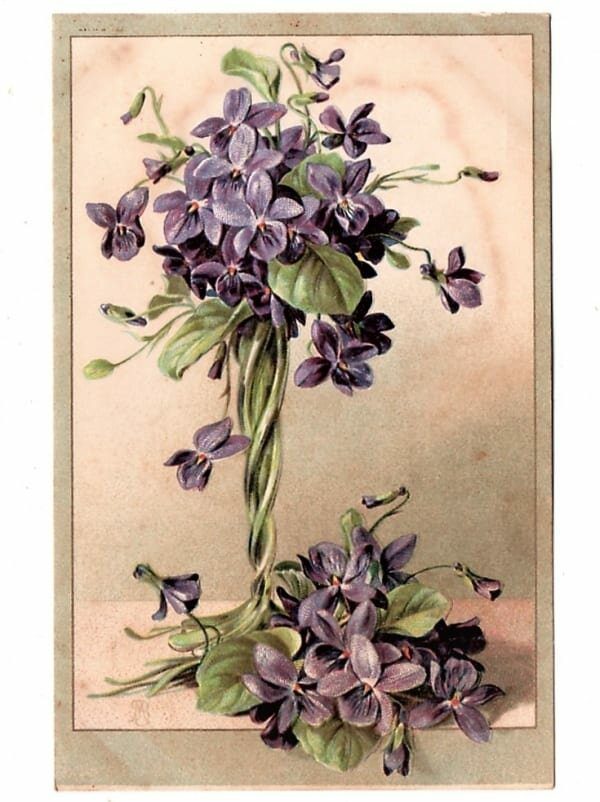 | Casa do Colecionador Cartao Postal - Flores - Anos 1920