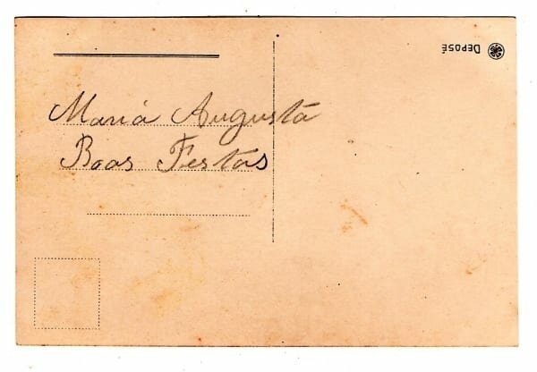 | Casa do Colecionador Cartao Postal - Flores - Violeta - Anos 1920
