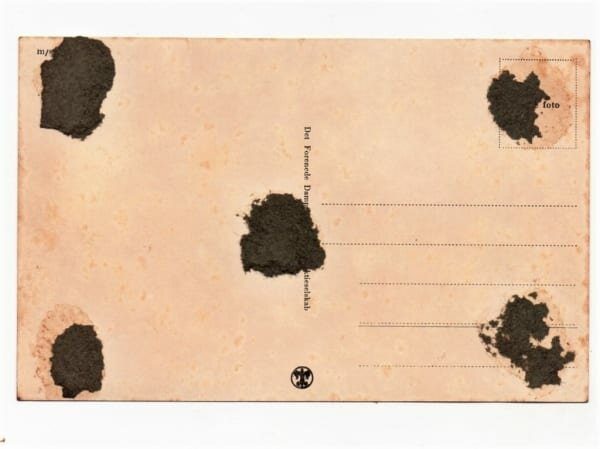 | Casa do Colecionador Cartão Postal Navio Virginia - Anos 50