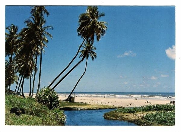 Cartao Postal - Praia do Cururupe com Rio - Ilhéus - Bahia - Anos 1970 - Cluposil