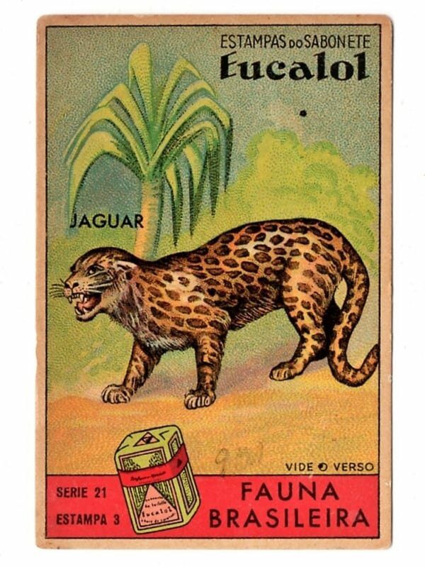 | Casa do Colecionador Estampas Eucalol - Fauna Brasileira - Serie 21 - Estampa 3 - 2 Emissão - Jaguar