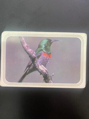 Calendário de Bolso (Tema Animais - Aves) Ano 1979