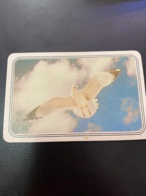 Calendário de Bolso (Tema Animais - Aves) Ano 1986