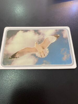Calendário de Bolso (Tema Animais - Aves) Ano 1989