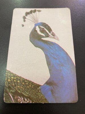 Calendário de Bolso (Tema Animais - Aves) Ano 1989