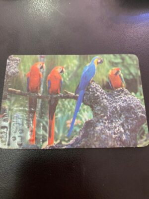 Calendário de Bolso (Tema Animais - Aves) Ano 1990