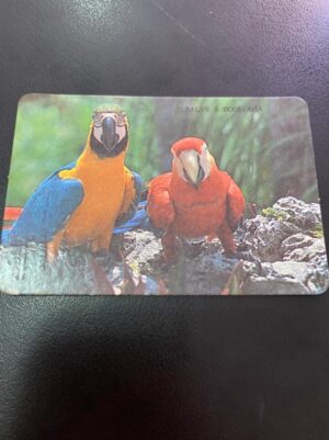 Calendário de Bolso (Tema Animais - Aves) Ano 1992