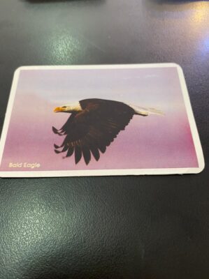 Calendário de Bolso (Tema Animais - Aves) Ano 1993
