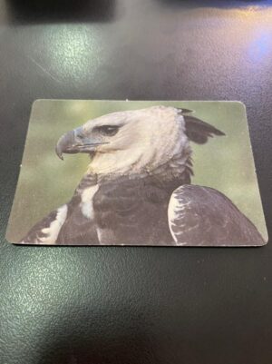 calendário de Bolso (Tema Animais - Aves) Ano 1996