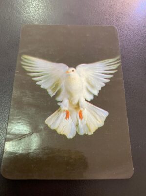 Calendário de Bolso (Tema Animais - Aves) Ano 1996