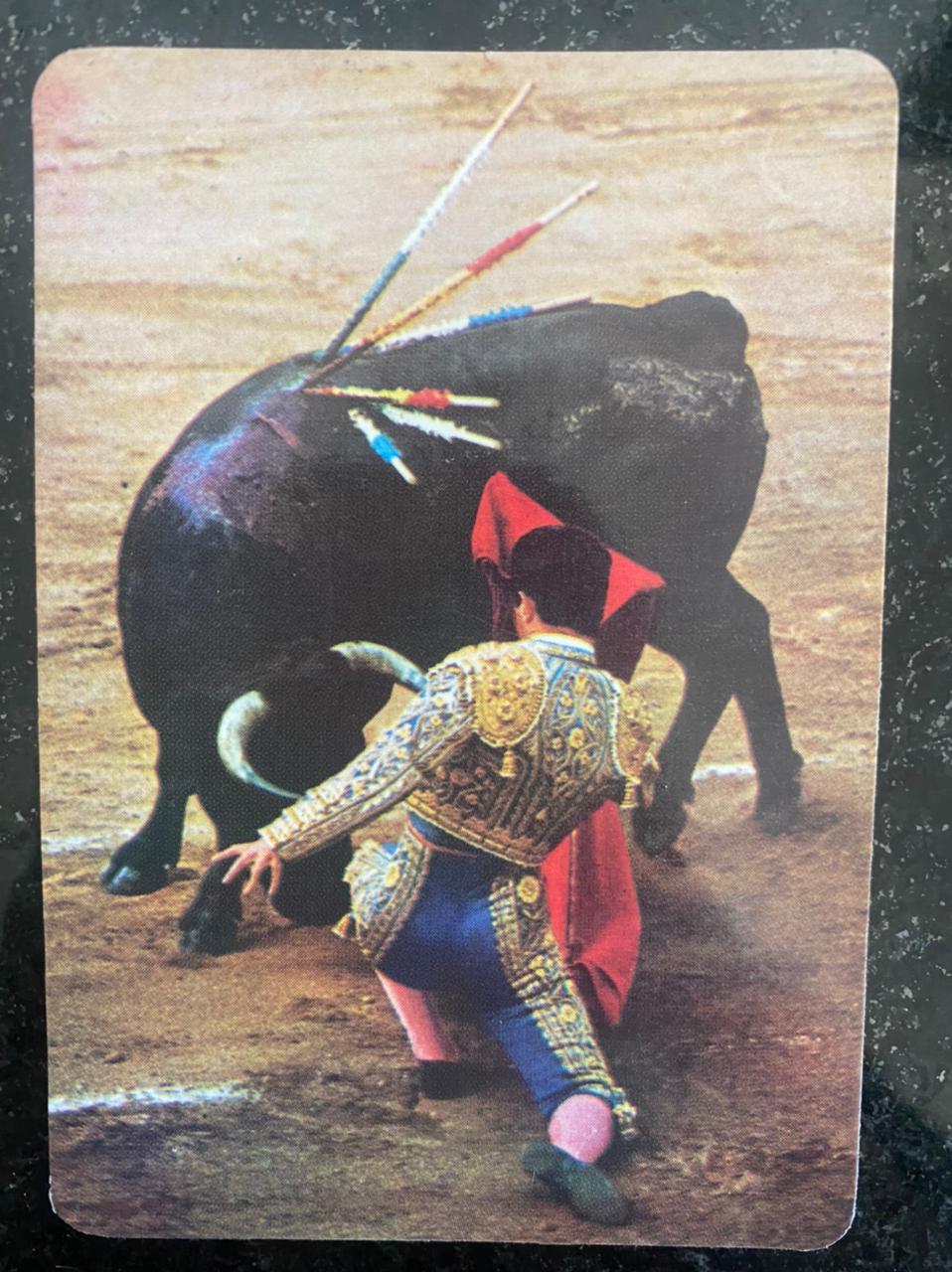 | Casa do Colecionador Calendário de Bolso (Tema Animais - Bovinos) Ano 1992