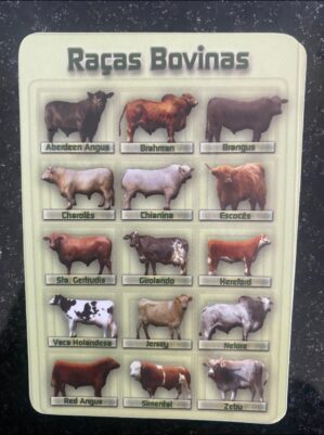 Calendário de Bolso (Tema Animais - Bovinos) Ano 2011