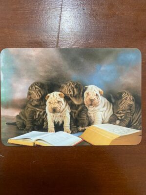 Calendário de Bolso (Tema Animais - Cachorros) 2007