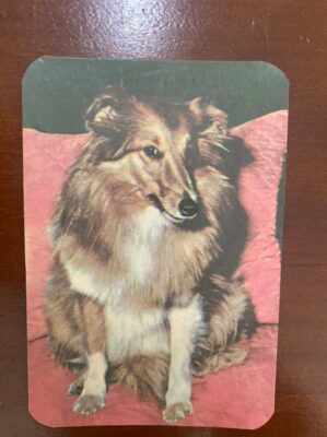 Calendário de Bolso (Tema Animais - Cachorros) Ano 1974