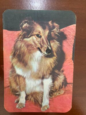 Calendário de Bolso (Tema Animais - Cachorros) Ano 1976