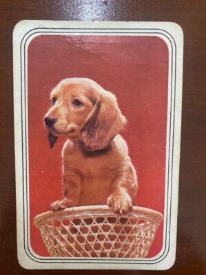 Calendário de Bolso (Tema Animais - Cachorros) Ano 1978