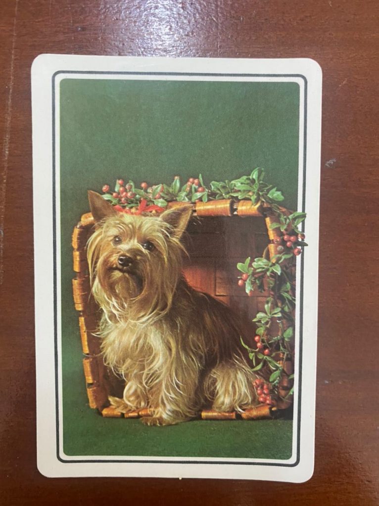 | Casa do Colecionador Calendário de Bolso (Tema Animais - Cachorros) Ano 1980